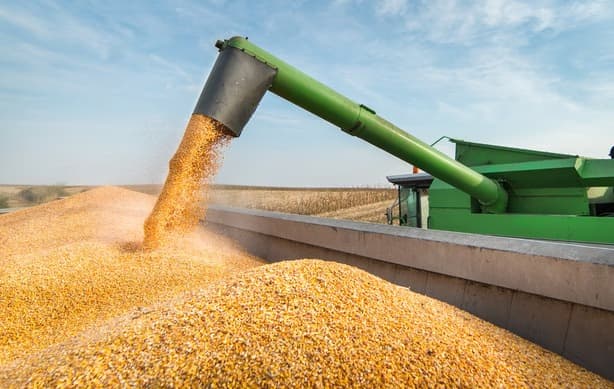 Maior volume de projetos da Consulta Popular é destinado ao agro 