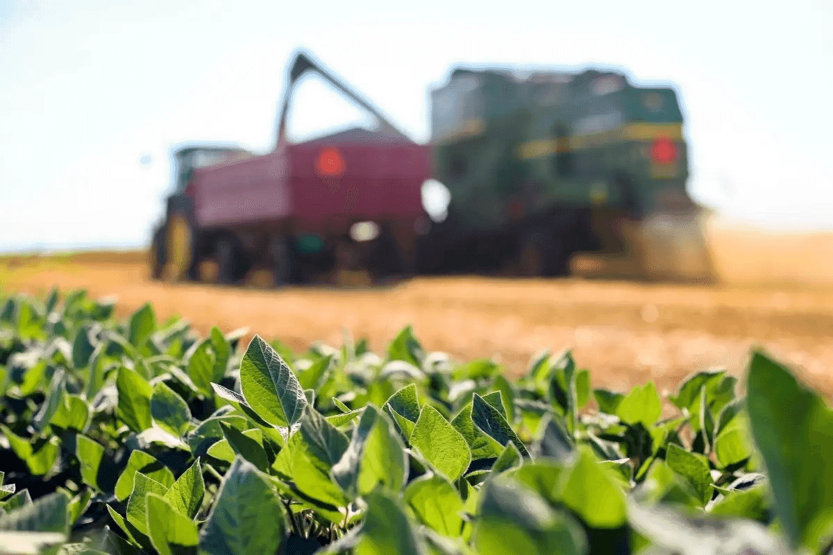 Rio Grande do Sul deverá ser o Estado com maior crescimento econômico em 2026