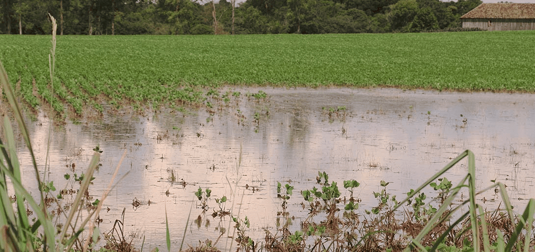 Enchentes de 2024 atingiram meio milhão de hectares no RS