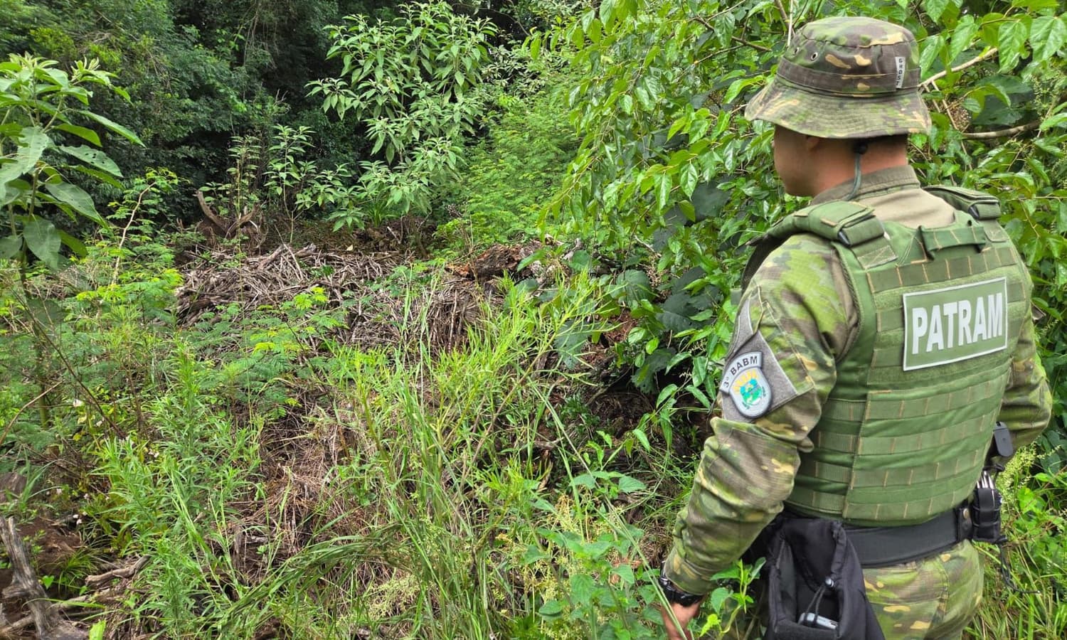 Batalhão Ambiental flagra desmatamentos em Novo Tiradentes e Jaboticaba