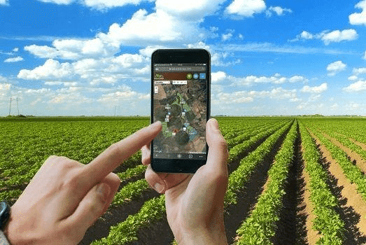 CMN passa a exigir fotos com localização comprovada para pedidos de seguro rural