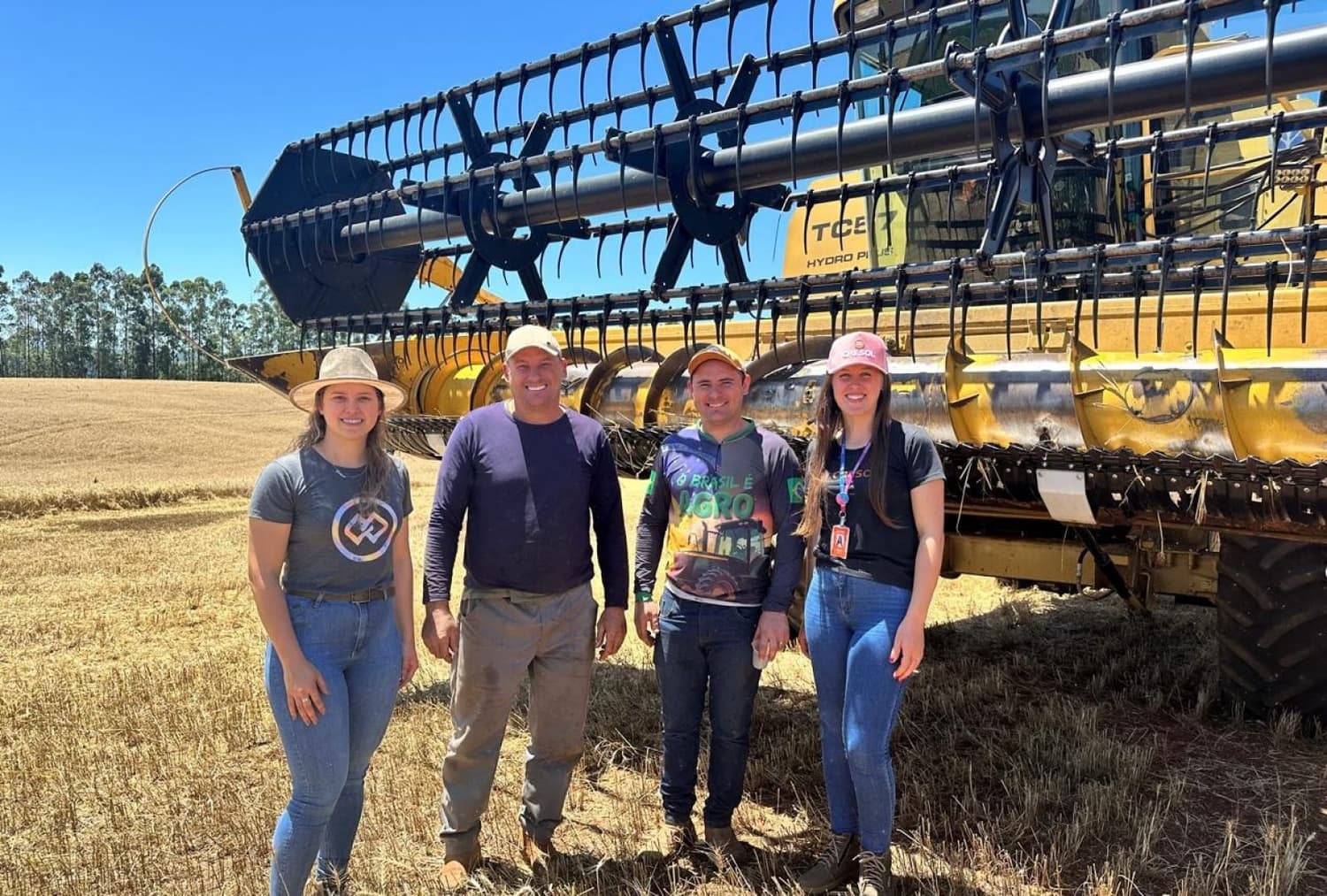 Cresol disponibiliza linhas de crédito rural para custear operações no campo