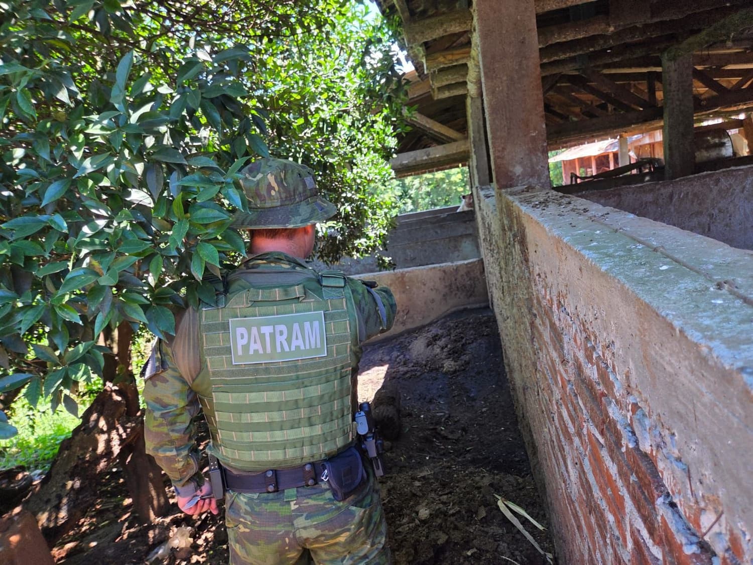 Batalhão Ambiental flagra poluição por dejetos de animais em Sagrada Família